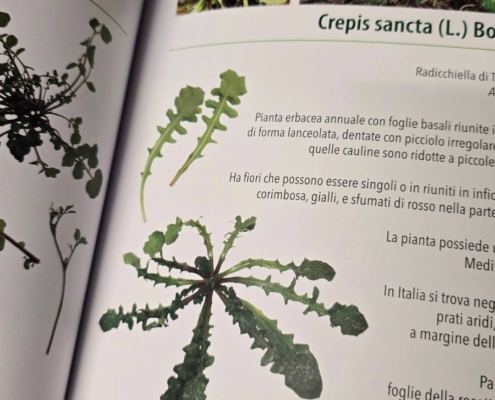 619283378_2674876066220413_3548911950612302398_n