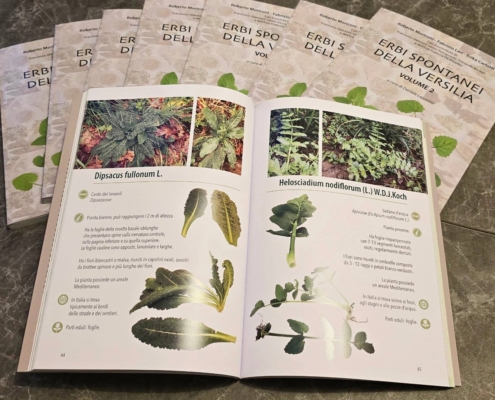 619539373_2674875889553764_9216993035484114328_n (1)