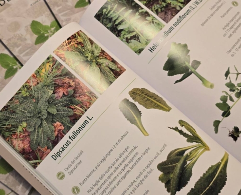 620014809_2674875929553760_4076251134914961277_n